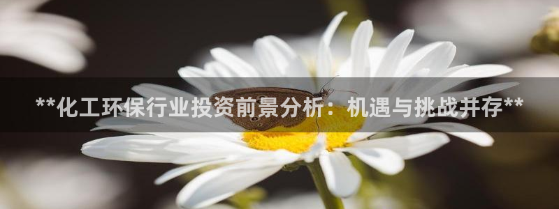 亿万财富网：**化工环保行业投资前景分析：机遇与挑战并存**
