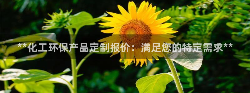 亿万先生官方网站下载手机版：**化工环保产品定制报价：满足您的特定需求**