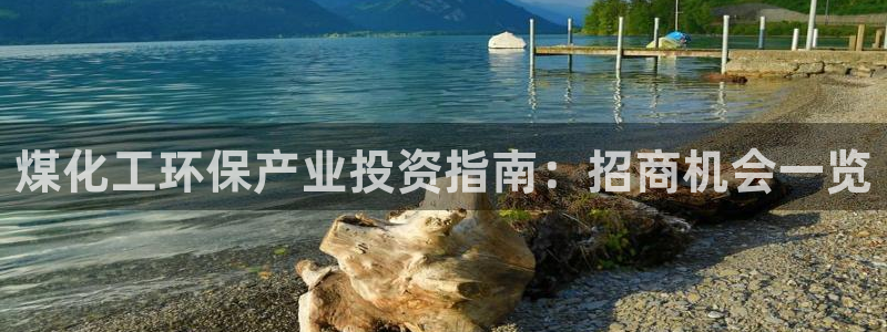 亿万先生mr014：煤化工环保产业投资指南：招商机会一览