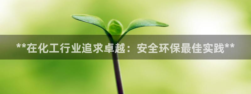 亿万官网：**在化工行业追求卓越：安全环保最佳实践**