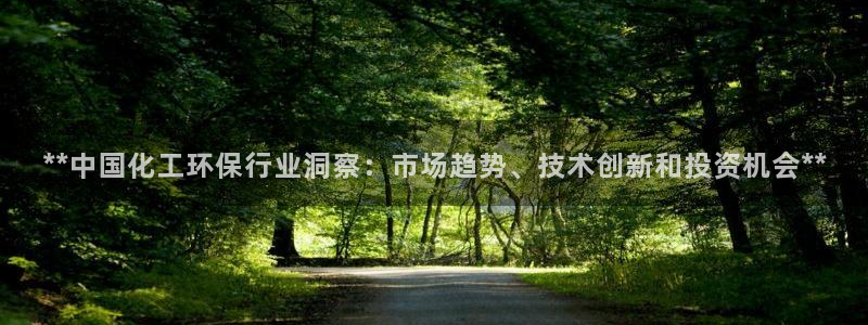亿万乐购生活超市：**中国化工环保行业洞察：市场趋势、技术创新和投资机会**