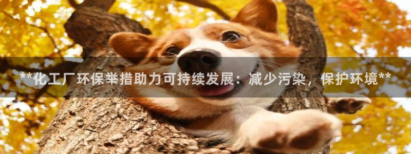 亿万百度百科官网：**化工厂环保举措助力可持续发展：减少污染，保护环境**