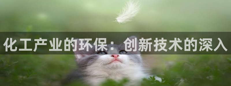 亿万国际合法吗：化工产业的环保：创新技术的深入