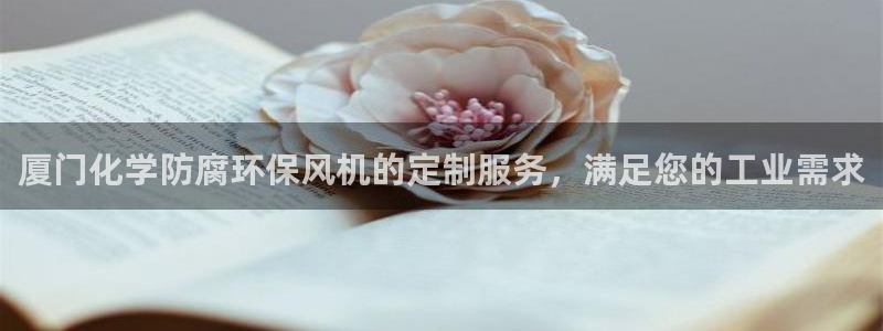 亿万先生是男是女：厦门化学防腐环保风机的定制服务，满足您的工业需求