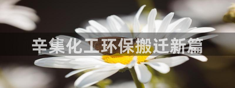 亿万集团：辛集化工环保搬迁新篇