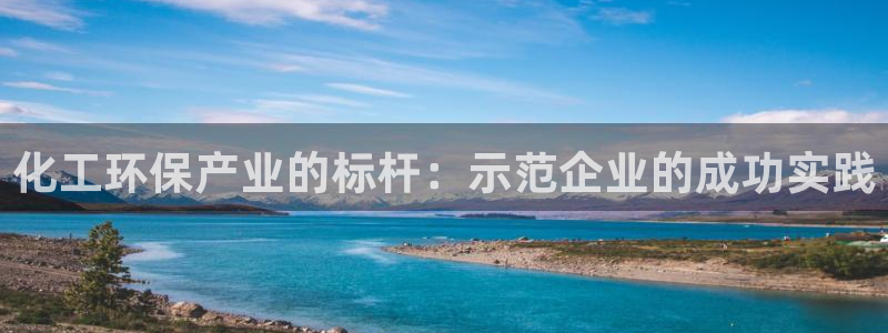 亿万先生客户端官网登录不上：化工环保产业的标杆：示范企业的成功实践
