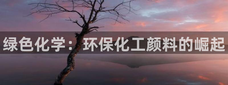 亿万网络科技有限公司ceo：绿色化学：环保化工颜料的崛起