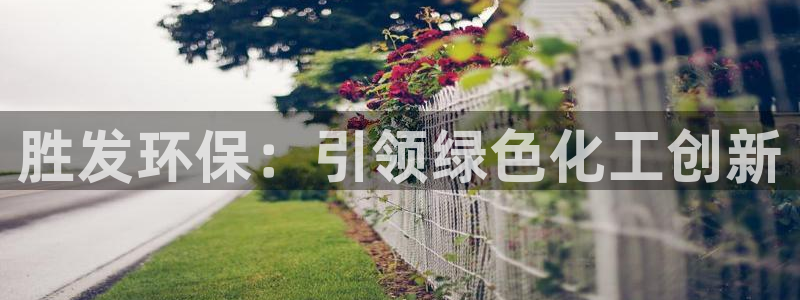亿万国际平台是正规的吗安全吗：胜发环保：引领绿色化工创新