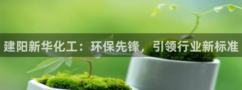 亿万先生MR - 亿万先生mr008cc：建阳新华化工：环保先锋，引领行业新标准