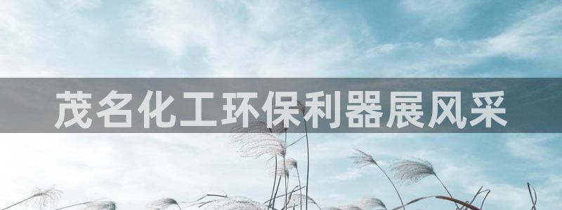 亿万国际游戏官网手机版：茂名化工环保利器展风采
