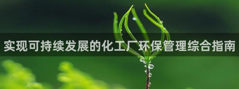 亿万先生下载网址app：实现可持续发展的化工厂环保管理综合指南