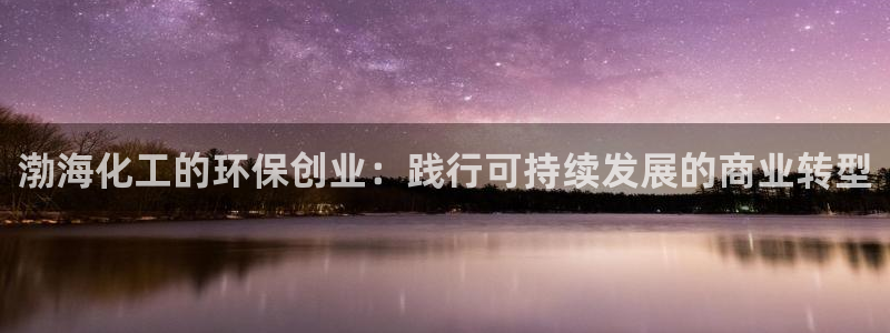 亿万先生是男是女：渤海化工的环保创业：践行可持续发展的商业转型