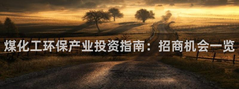 亿万城市手游：煤化工环保产业投资指南：招商机会一览