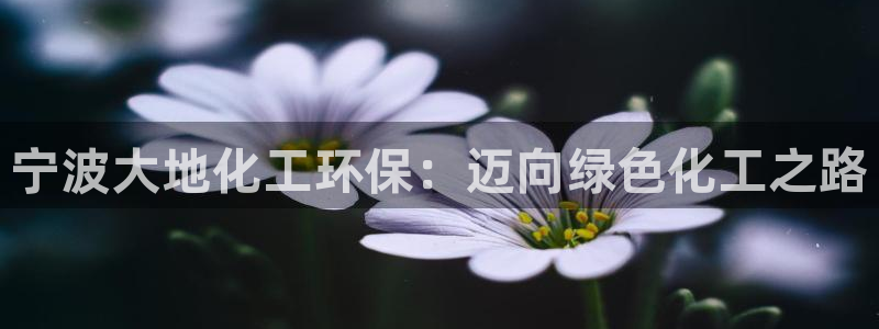 亿万先生手机版入口在哪下载：宁波大地化工环保：迈向绿色化工之路