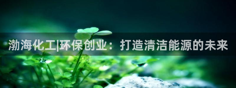 亿万先生网红：渤海化工|环保创业：打造清洁能源的未来