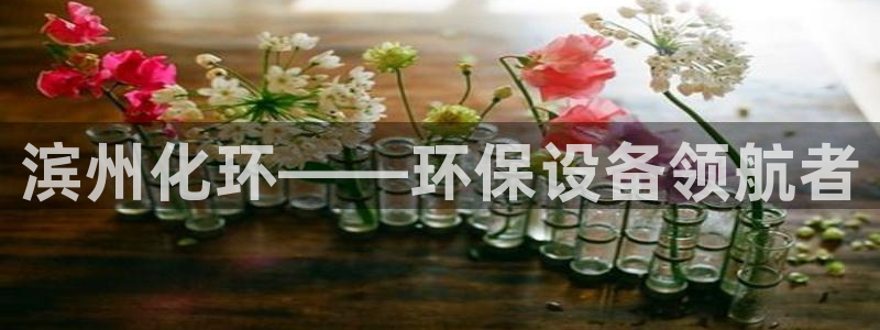 亿万先生下载客户端：滨州化环——环保设备领航者