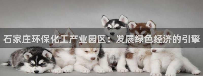 亿万首富手游：石家庄环保化工产业园区：发展绿色经济的引擎