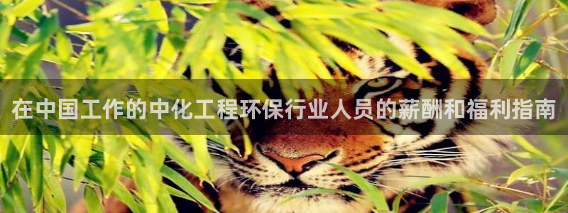 亿万集团：在中国工作的中化工程环保行业人员的薪酬和福利指南
