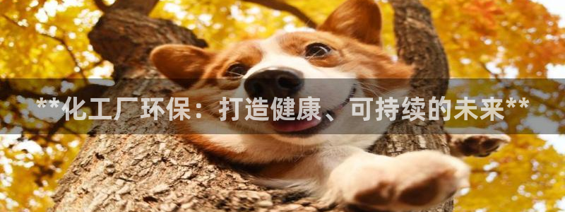 亿万先生网站：**化工厂环保：打造健康、可持续的未来**
