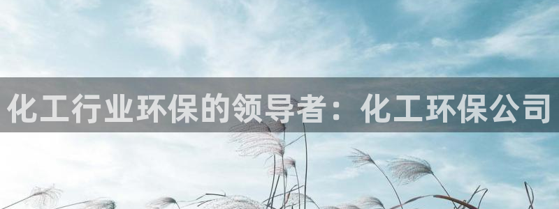 亿万手游官网：化工行业环保的领导者：化工环保公司