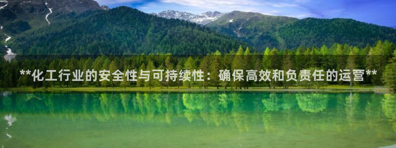 亿万笞人：**化工行业的安全性与可持续性：确保高效和负责任的运营**