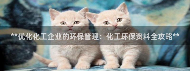 mr8001亿万先生：**优化化工企业的环保管理：化工环保资料全攻略**