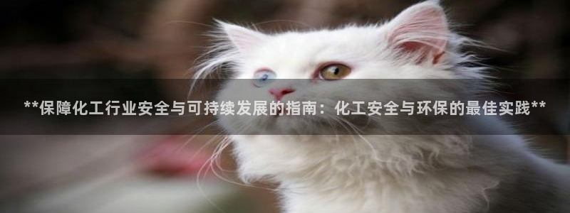 亿万先生手机版入：**保障化工行业安全与可持续发展的指南：化工安全与环保的最佳实践**