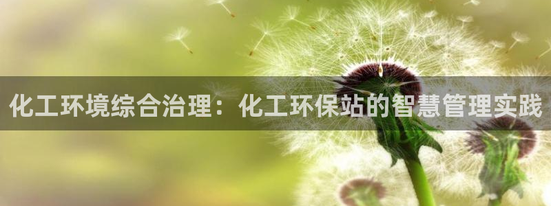 亿万先生 手机版下载安装：化工环境综合治理：化工环保站的智慧管理实践