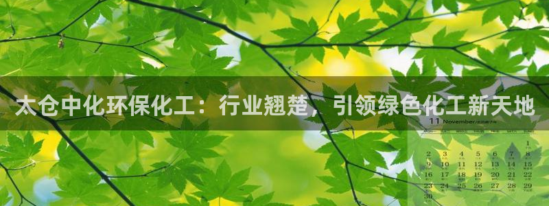 亿万啥意思：太仓中化环保化工：行业翘楚，引领绿色化工新天地