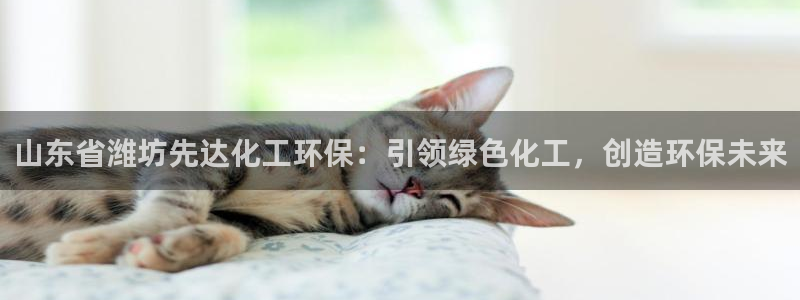 亿万百度贴吧：山东省潍坊先达化工环保：引领绿色化工，创造环保未来