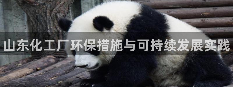 亿万先生官方网站客户端下载安装手机版：山东化工厂环保措施与可持续发展实践