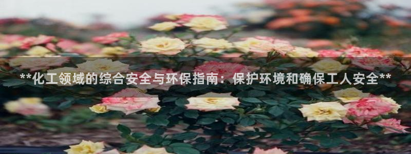 亿万官网：**化工领域的综合安全与环保指南：保护环境和确保工人安全**