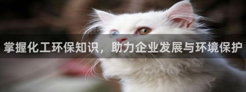 亿万解析：掌握化工环保知识，助力企业发展与环境保护