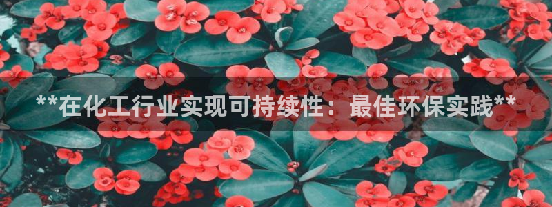 亿万万作者：**在化工行业实现可持续性：最佳环保实践**