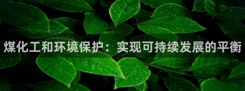 亿万先生用什么客户端：煤化工和环境保护：实现可持续发展的平衡