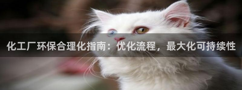 亿万先生手机版：化工厂环保合理化指南：优化流程，最大化可持续性