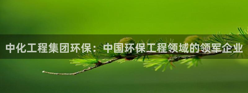 亿万先生mr07：中化工程集团环保：中国环保工程领域的领军企业