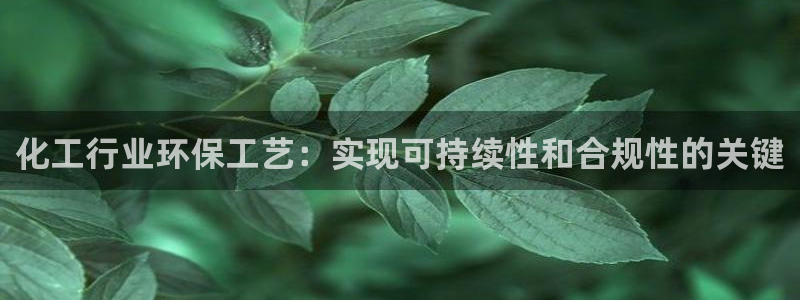 亿万先生 菲律宾：化工行业环保工艺：实现可持续性和合规性的关键