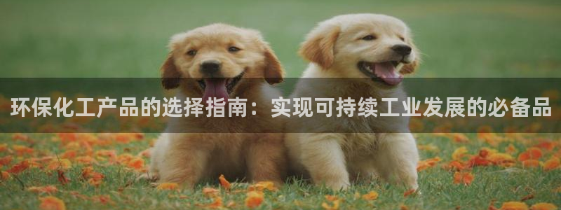 电视剧亿万：环保化工产品的选择指南：实现可持续工业发展的必备品