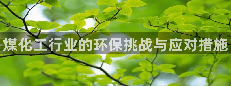 亿万先生下载客户端：煤化工行业的环保挑战与应对措施