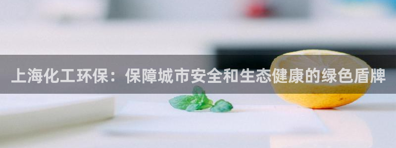 mr003亿万先生：上海化工环保：保障城市安全和生态健康的绿色盾牌