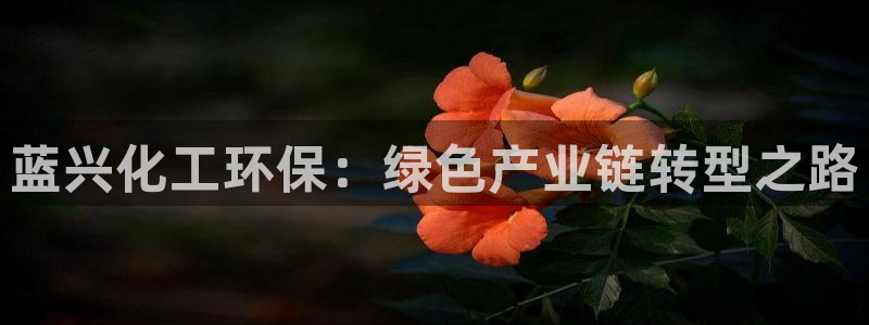 亿万先生mr008cc官网：蓝兴化工环保：绿色产业链转型之路
