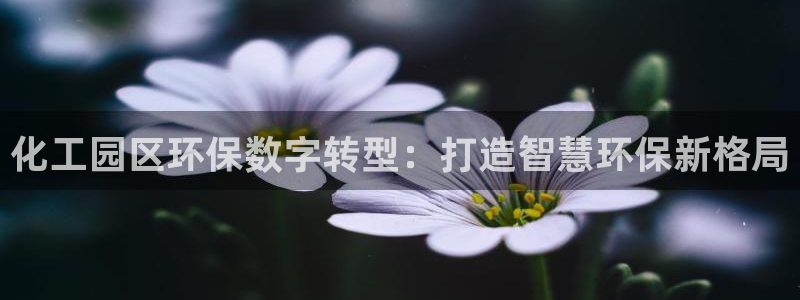 亿万先生首页：化工园区环保数字转型：打造智慧环保新格局