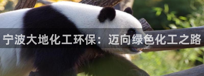 亿万官网字幕组官网下载：宁波大地化工环保：迈向绿色化工之路