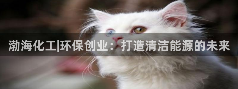 亿万剧情详解