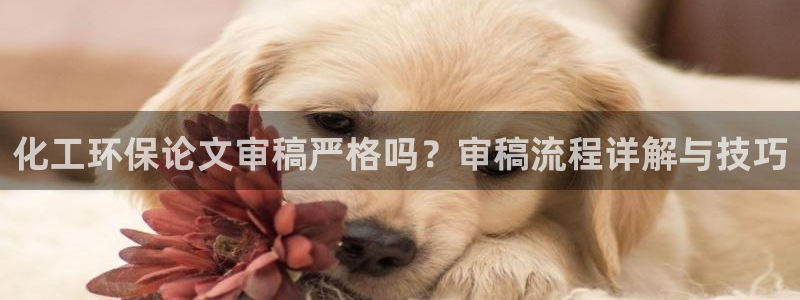 亿万先生游戏平台网址：化工环保论文审稿严格吗？审稿流程详解与技巧