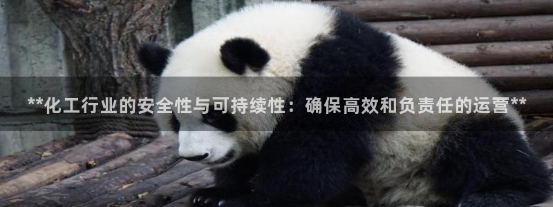 亿万先生手机版客户端下载安装：**化工行业的安全性与可持续性：确保高效和负责任的运营**
