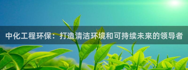 亿万番外：中化工程环保：打造清洁环境和可持续未来的领导者