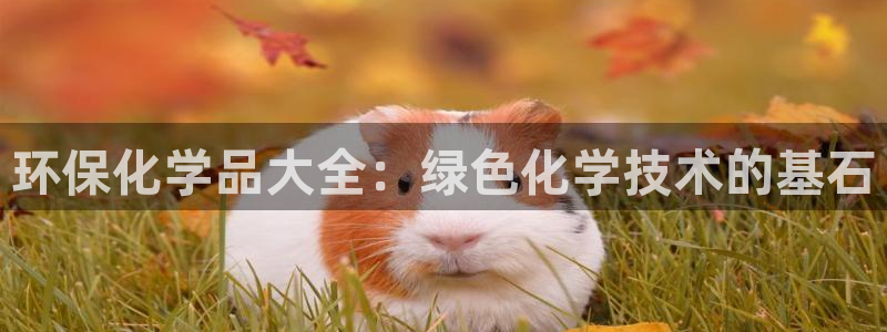 亿万先生手机版入口在哪看：环保化学品大全：绿色化学技术的基石