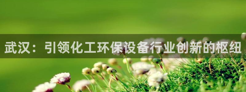 亿万先生首页：武汉：引领化工环保设备行业创新的枢纽